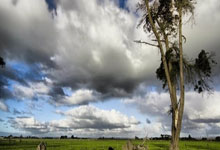 半岛体育官网：[NBA]东契奇21分 轻取马刺两连胜.