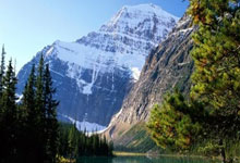 半岛体育官网：纽卡举行英联杯夺冠游行，约20万球迷参加.