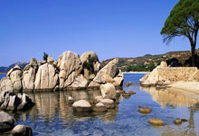 半岛体育官网：纽卡举行英联杯夺冠游行，约20万球迷参加.